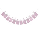 Suport fotografii, pentru bebelusi, 1 - 12 luni, culoare roz